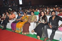Ram Charan Bruce Lee Audio Function